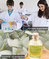 moveland 0.2ml Plastic Mini Transfer Pipettes, 350PCS Disposable Dropper for Liquid Mixture