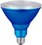 Xtricity LED PAR38 Blue Flood Light Bulbs, 7W, Waterproof, Indoor/Outdoor, E26 Medium Base, Blue (1 Pack)