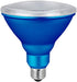 Xtricity LED PAR38 Blue Flood Light Bulbs, 7W, Waterproof, Indoor/Outdoor, E26 Medium Base, Blue (1 Pack)