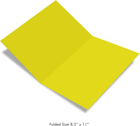 NobleWorks 1 Large Blank Greeting Card (8.5 x 11 Inch) - All Occasion Notecard with Envelope