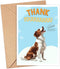 GreenStar Gifts Brittany Dog Card, Dog Thank You Card, Cute Pun Thank You Card