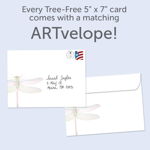 Tree-Free Greetings Magic Remnants Dragonfly All Occasion Cards, 2 Recycled 5x7 Cards & Envelopes, USA Made