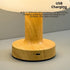 3-Level Dimmable Shower Lamp Mushroom Lamp LED Table Lamp for Bedroom Rechargeable Desk Bedside Small Lamps Night Light