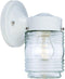 HomeRoots White Standard Jelly Jar One Light Outdoor Wall Light