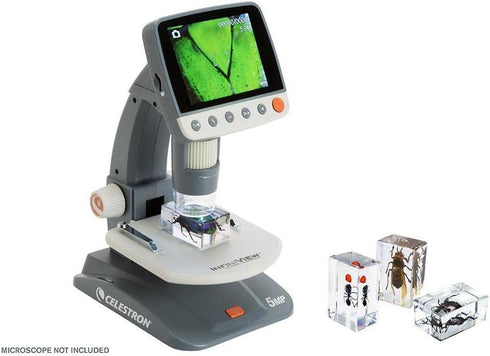 Celestron Real 3D Bugs in Clear Resin - 4pc Set of Wasp, Ant, Chafer, Beetle Specimens for Science Education