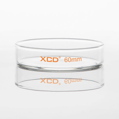 10 Pack Glass Petri Dishes, Borosilicate Glass Cell Culture Dishes with Clear Lid for Laboratory Use (60x15 mm)