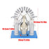 YWBL-WH Science Education Static Machine Physics Experiment Electrostatic Induction Electricity Generator