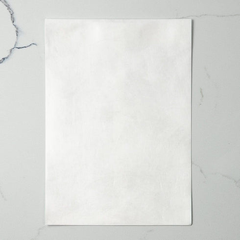 LUXPaper Open End Envelopes, Peel & Press, 7 1/2" x 10 1/2", Tyvek, 50 Qty