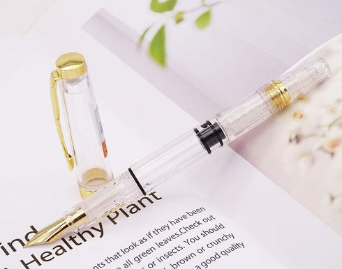 Lanxivi Yongsheng 3011 Demonstrator Clear Classical Fountain Pen, Fine Nib, Piston Filling System, Set of 4