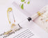 Lanxivi Yongsheng 3011 Demonstrator Clear Classical Fountain Pen, Fine Nib, Piston Filling System, Set of 4