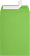 LUXPaper 6 x 9 Open End Envelopes | Peel & Press | Limelight Green | 80lb. Text | 50 Qty