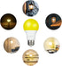 DEWENWILS LED Light Bulbs Outdoor, A19 Yellow Light Bulb, 9W (60W Equivalent), 2400K Amber Glow, 4 Pack