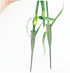25pcs KALLORY Tubes for Fresh Flowers Lightweight Water Tubes for Florist Arrangements for Roses Carnations