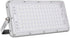 papasbox 100W LED Flood Light Outdoor, 8000LM Outdoor Security Lights,6000K Daylight White