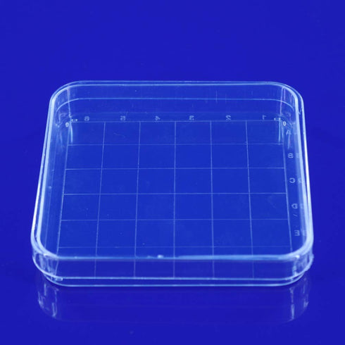 Scicalife 10 Sets Square Petri Dish with Lids, Plastic Material Container for School Lab Science Experiment