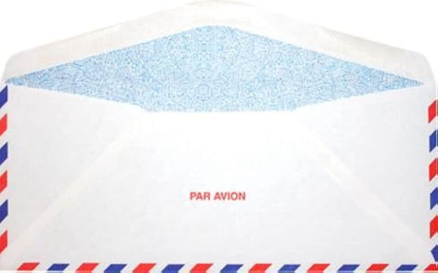 LUXPaper #10 Commercial Flap Business Envelopes - Security Tint, 4 1/8" x 9 1/2", 50 Qty