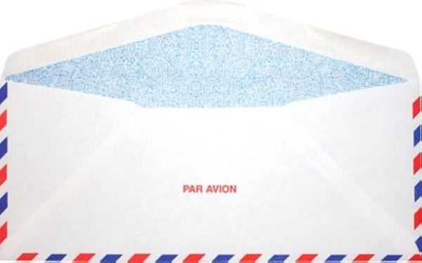 LUXPaper #10 Commercial Flap Business Envelopes - Security Tint, 4 1/8" x 9 1/2", 50 Qty