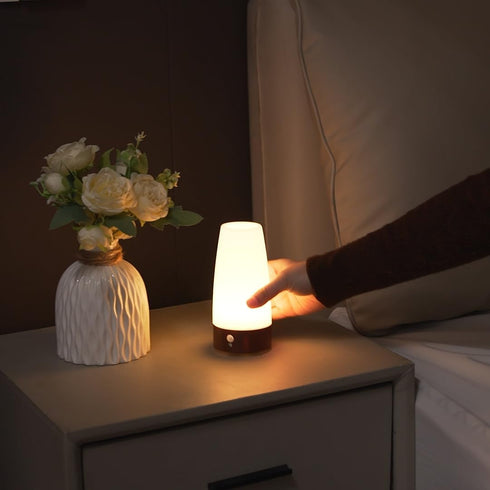Daxng Retro LED Night Light PIR Motion Sensor Light,Activated Step Lighting Lamps,Indoor/Outdoor Battery Operated Lamp