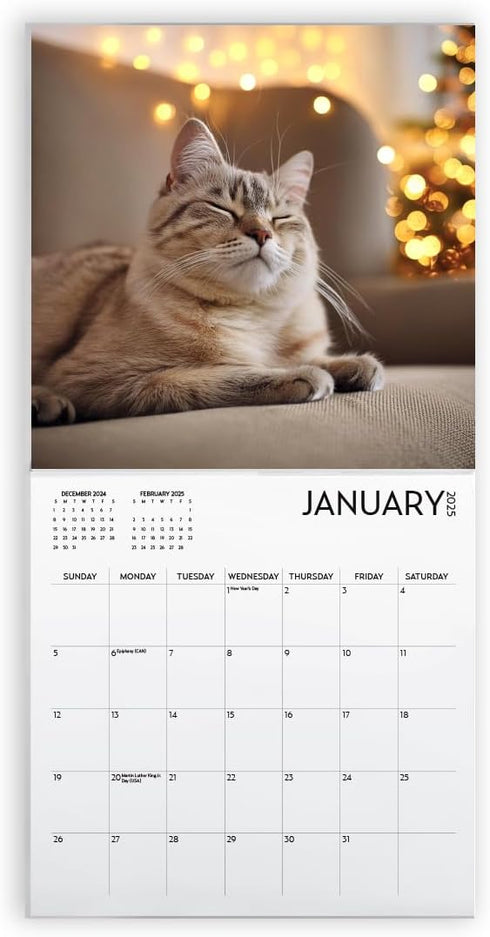 Cat Calendar 2025 with Sticker Pack - Kitten Square Large Wall Calendar 12 x 12 inch, Yearly Cat Lover's Calendar