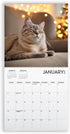 Cat Calendar 2025 with Sticker Pack - Kitten Square Large Wall Calendar 12 x 12 inch, Yearly Cat Lover's Calendar