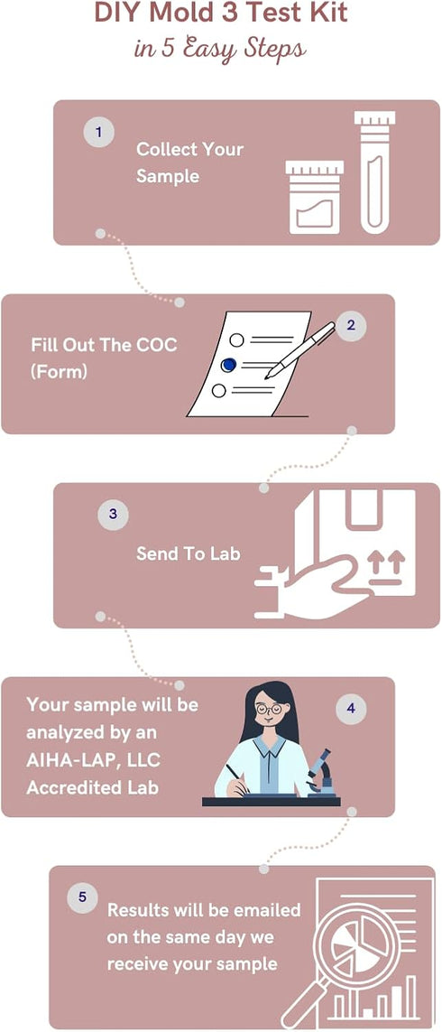 DIY Mold 3 Test Kit - Same Day Results with Expert Consultation and Accredited Lab Analysis