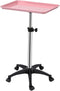 Salon Rolling Tray, Height Adjustable Tattoo Tray Rolling Cart, Storage Utility Trolley