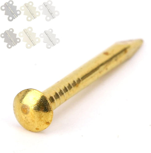 HEEPDD 100Pcs Brass Escutcheon Tacks - Round Head Hardware Nail Assortment Kit for Furniture