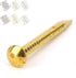 HEEPDD 100Pcs Brass Escutcheon Tacks - Round Head Hardware Nail Assortment Kit for Furniture