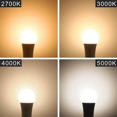 Energetic LED GU24 Base Light Bulb, 800 Lumens, A19 Shape, 60 Watt Equivalent, 4 Pack