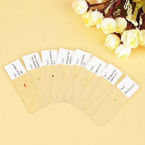 Prepared Microscope Slides 25pcs, Biology Glass Lab Specimens for Basic Science Education with Labels and Case