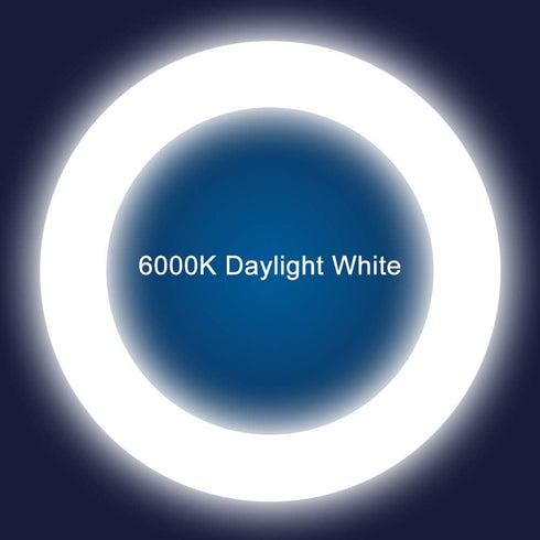 T9 LED Circline Light Bulb, 8 Inch 1600LM, 13W Clear Cover 6000K Replacement for FC8T9/CW, Ballast Bypass Required