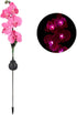 Yosoo Garden Solar Lights, Waterproof Moth Orchid Shape Light-Activated LED Pathway Light