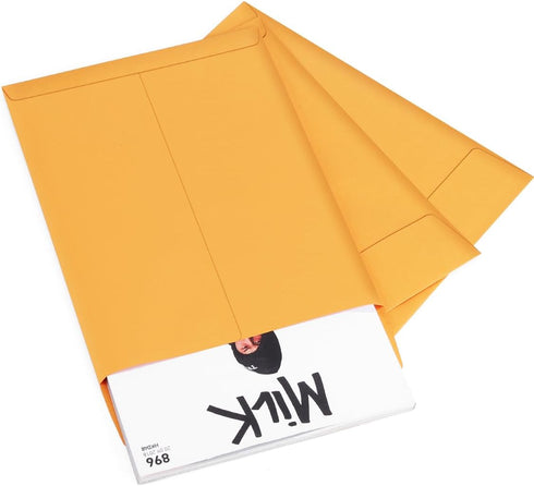 Eupako 9x12 Catalog Mailing Envelopes, Brown Self Seal, 250 Pack for Organizing and Storage