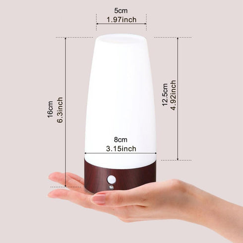 Daxng Retro LED Night Light PIR Motion Sensor Light,Activated Step Lighting Lamps,Indoor/Outdoor Battery Operated Lamp
