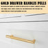 2 Pcs Cabinet Handles Gold Drawer Handles Pulls Kitchen Drawer Handles Furniture Handles for Kitchen Cupboards Chest of Drawers by JIEDALIN