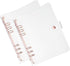 PATIKIL A5 Clear Binder Cover, 2Pcs Soft PVC Loose Leaf Binder Protector with Snap Button Closure, 6 Ring, Rose Gold