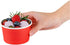 5-Ounce 50 Frozen Coppetta Dessert Cups, Disposable Ice Cream Cups - Lids Sold Separately, Sturdy, Red Paper Yogurt