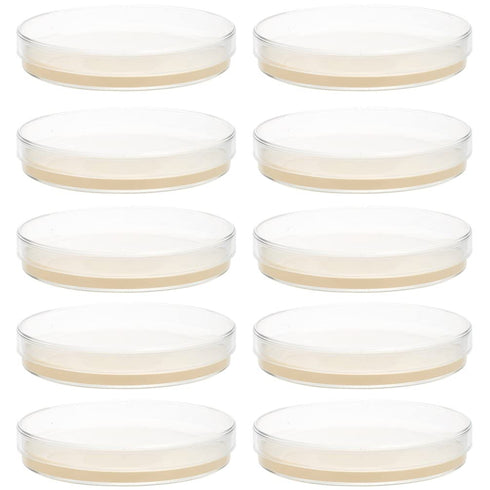 Agar Plates: Prepoured Nutrient Agar Petri Dishes, 10 pcs Growth Medium for Mushrooms & Science Fair Projects Supplies