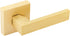 EHOMEWARE Heavy Duty Dummy Door Handle Set, 1 Pack Gold Interior Lever Knob for Right/Left Handing Doors