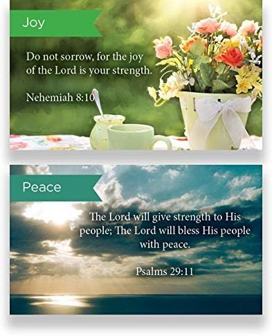 Logos Trading Post Pass Along Scripture Card Variety Pack, 12 Hand Picked Designs, 5 of Each Design, Pack of 60