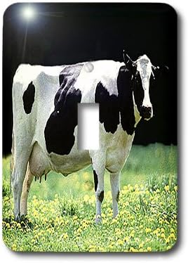 3dRose lsp_624_1 Holstein Cow Single Toggle Switch