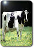 3dRose lsp_624_1 Holstein Cow Single Toggle Switch