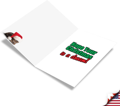 NobleWorks 12 Cat Christmas Cards with Envelopes - Holiday Humor Notecard Set for Men, Women (1x12 Design) - Pet Animal