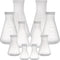 Peohud Set of 10 Scientific Plastic Erlenmeyer Flasks with Screw Caps - Lab Flask Set (50ml, 100ml, 250ml, 500ml, 1L)
