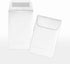 LUXPaper #1 Coin Envelopes, 2 1/4" x 3 1/2" Crystal Metallic, 50 Qty