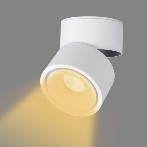 Vrnzau 360Adjustable 6000K 3000K 3000KWarm LED Ceiling Spotlight - Wall Light Ceiling Downlight COB Lighting LED Wall