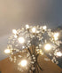 6 Pack E14 2W Mini Globe LED Bulbs, 20W Equivalent, Warm White 3000K, Dimmable for Chandeliers