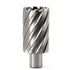 Annular Cutter JESTUOUS 3/4 Inch Weldon Shank - 1-1/2 Cutting Diameter with Two-Flat HSS Kit