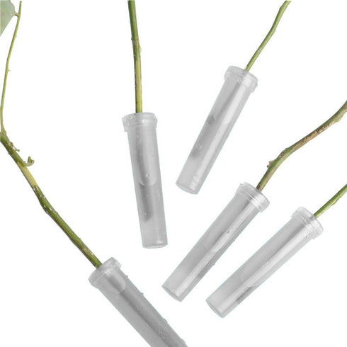 40-Pack Plastic Floral Water Tubes - Clear Florist-Grade Stem Holders for Hydration, Flower Arrangements Supplies