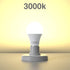12V LED Light Bulbs, 12W 1050LM Warm White 3000K, 80W Equivalent, E26 Base for Off Grid Solar Lighting, 4 Pack